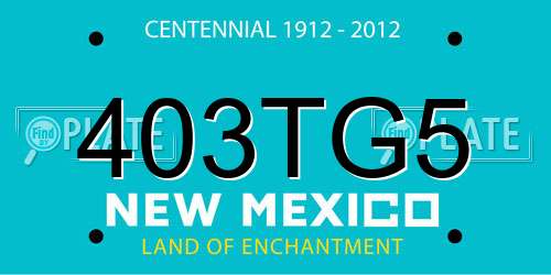 403TG5 New Mexico License Plate