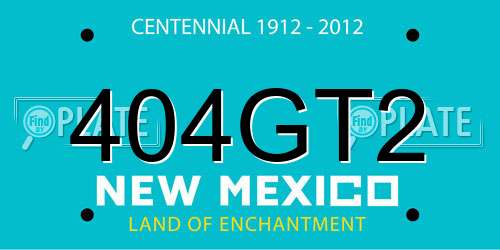 404GT2 New Mexico License Plate