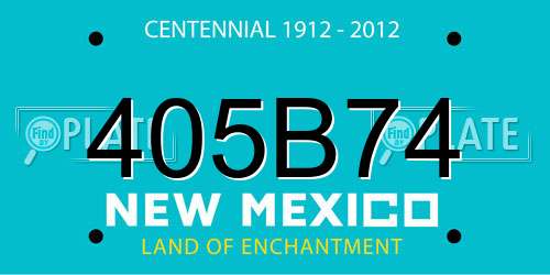 405B74 New Mexico License Plate