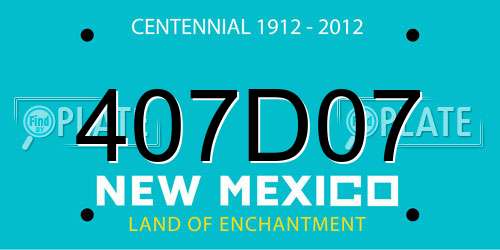 407D07 New Mexico License Plate
