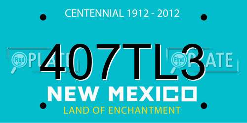 407TL3 New Mexico License Plate