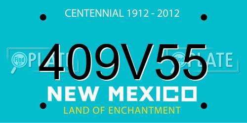 409V55 New Mexico License Plate