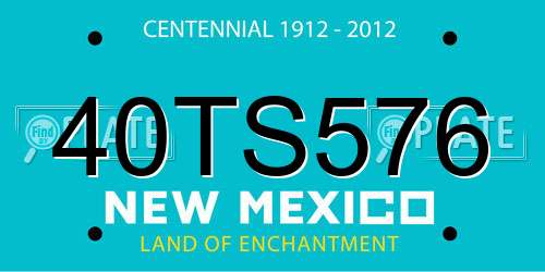 40TS576 New Mexico License Plate