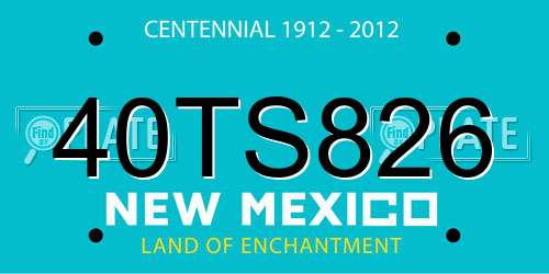 40TS826 New Mexico License Plate