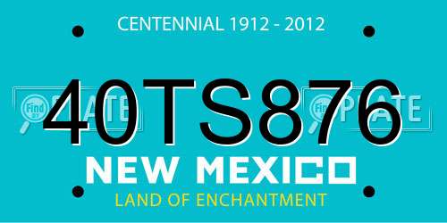 40TS876 New Mexico License Plate