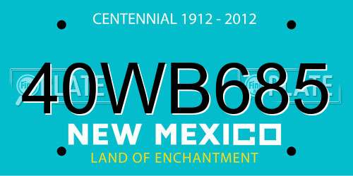 40WB685 New Mexico License Plate