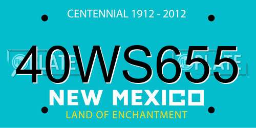 40WS655 New Mexico License Plate