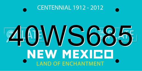 40WS685 New Mexico License Plate