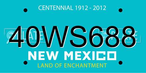 40WS688 New Mexico License Plate