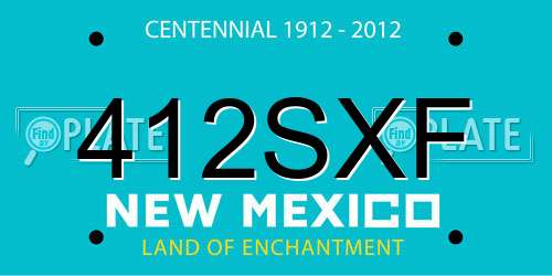 412SXF New Mexico License Plate