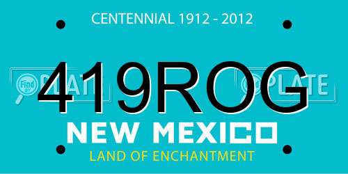 419ROG New Mexico License Plate