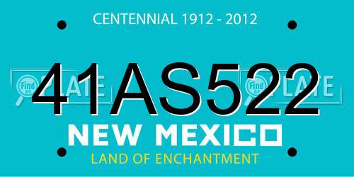 41AS522 New Mexico License Plate