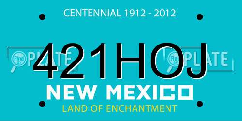 421HOJ New Mexico License Plate