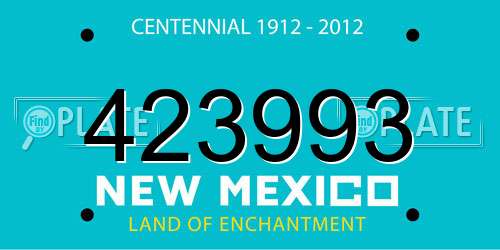 423993 New Mexico License Plate