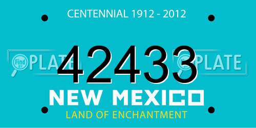 42433 New Mexico License Plate