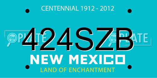 424SZB New Mexico License Plate