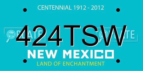 424TSW New Mexico License Plate
