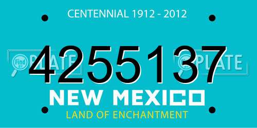 4255137 New Mexico License Plate