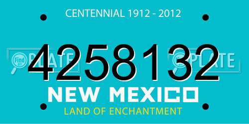 4258132 New Mexico License Plate