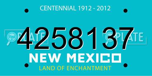 4258137 New Mexico License Plate