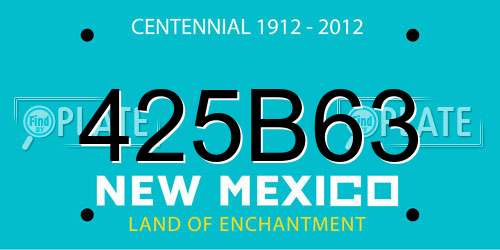 425B63 New Mexico License Plate