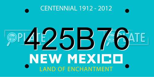 425B76 New Mexico License Plate