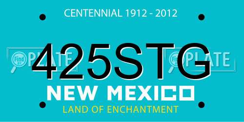 425STG New Mexico License Plate