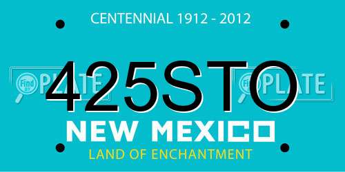 425STO New Mexico License Plate