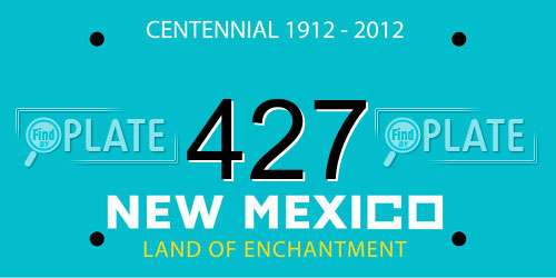 427 New Mexico License Plate