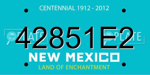 42851E2 New Mexico License Plate