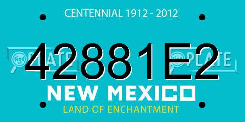42881E2 New Mexico License Plate