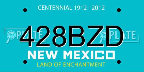 428BZD New Mexico License Plate