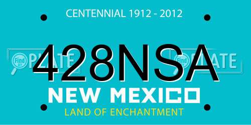 428NSA New Mexico License Plate