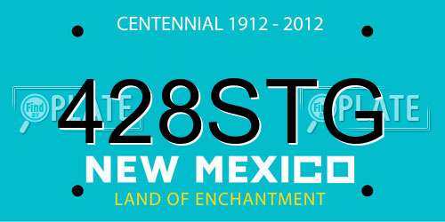 428STG New Mexico License Plate