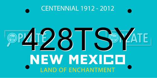 428TSY New Mexico License Plate