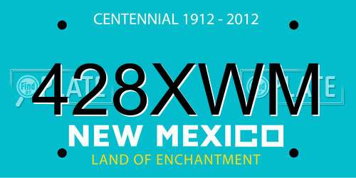 428XWM New Mexico License Plate