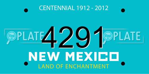 4291 New Mexico License Plate