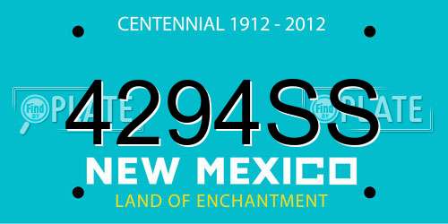 4294SS New Mexico License Plate