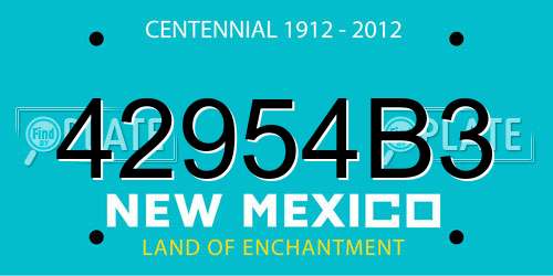 42954B3 New Mexico License Plate