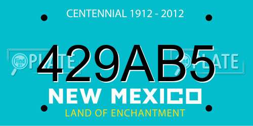 429AB5 New Mexico License Plate