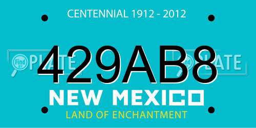 429AB8 New Mexico License Plate