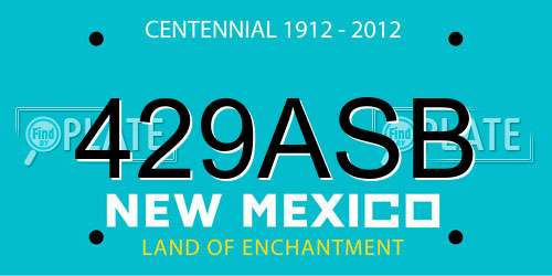 429ASB New Mexico License Plate