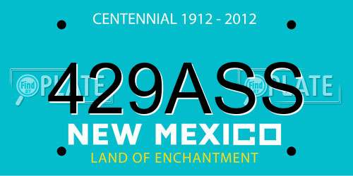 429ASS New Mexico License Plate