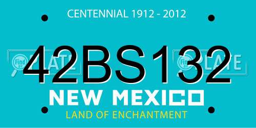 42BS132 New Mexico License Plate