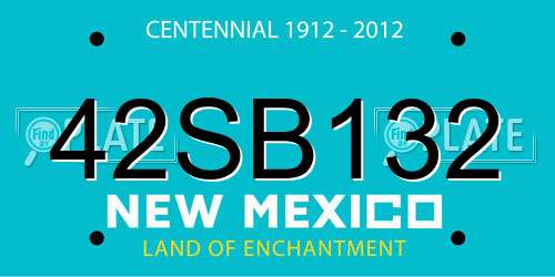 42SB132 New Mexico License Plate