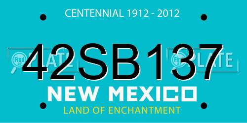 42SB137 New Mexico License Plate
