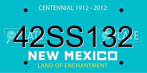 42SS132 New Mexico License Plate