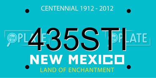 435STI New Mexico License Plate