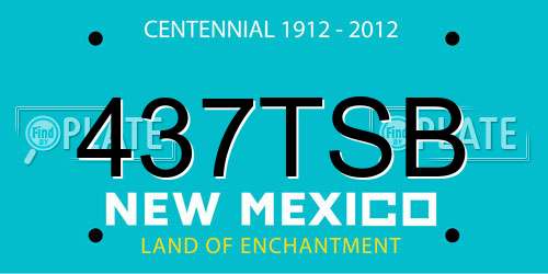 437TSB New Mexico License Plate
