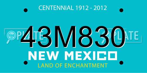 43M830 New Mexico License Plate